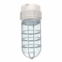 Hazardous Location Lighting Accessories thumbnail