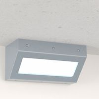 Corner-Mount Vandal-Resistant LED Light Fixtures thumbnail