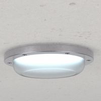 Shower-Area Confinement LED Light Fixtures thumbnail