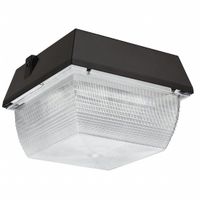 Canopy Lights thumbnail