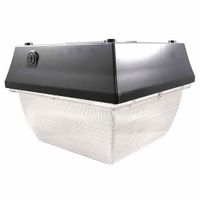 Standard Canopy Lights thumbnail