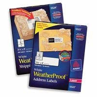 Weather Resistant Address & Shipping Labels thumbnail