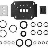 Air End Repair Kits for Double Diaphragm Pumps thumbnail