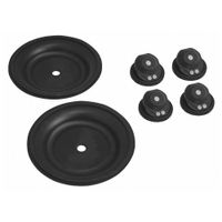 Fluid End Repair Kits for Double Diaphragm Pumps thumbnail