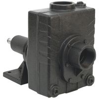 Self-Priming Pedestal-Mount Centrifugal Pumps thumbnail