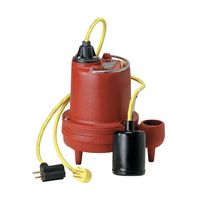 High-Temperature Sump Pumps thumbnail